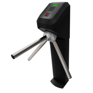 Lumen Black 1